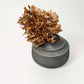 Cylindrical Textured Bud Vase in Greige