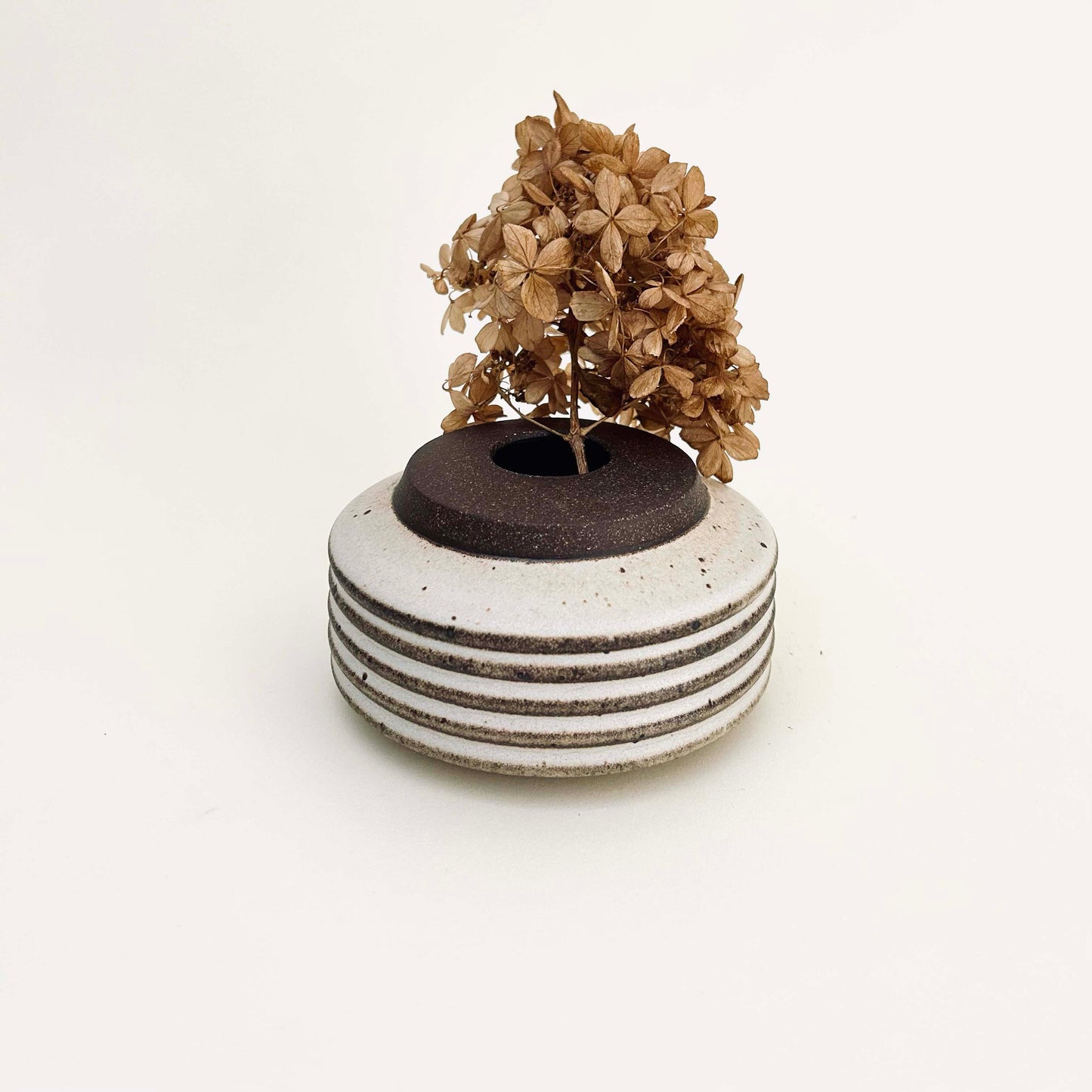 Collared Ribbed Vase in Mocha Creme