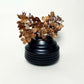 Cylindrical Textured Bud Vase in Satin Black/Oil Spot