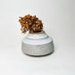 Cylindrical Textured Bud Vase in Matte White
