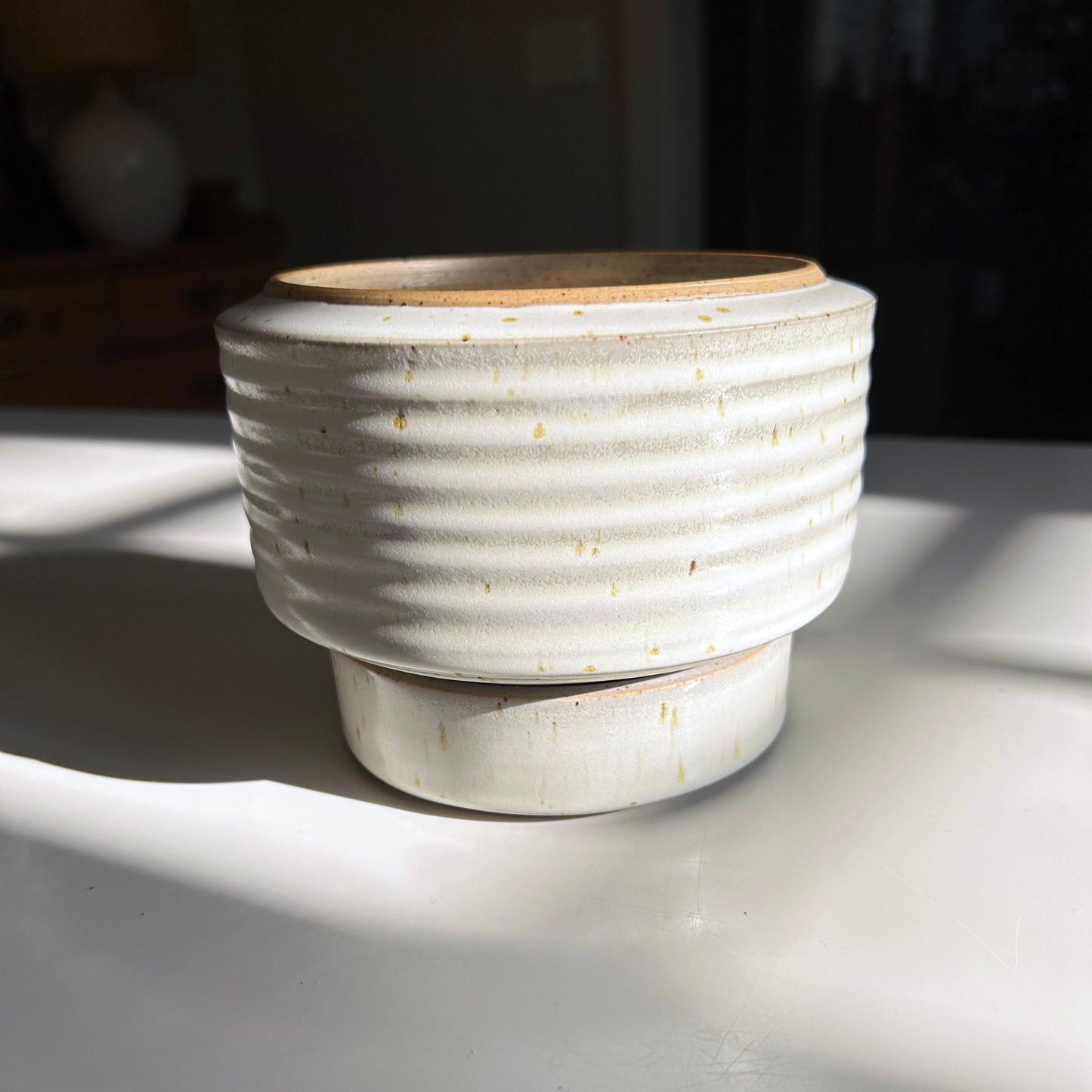 Corrugated Textured Planter w/ Tray, Buttermilk